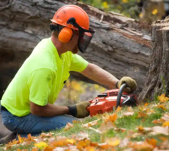 tree services Zuni Pueblo